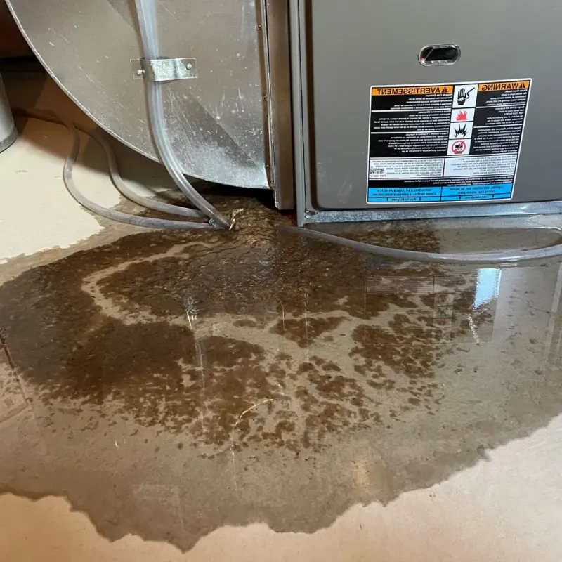 Pipe Burst and Leak Restoration in Flandreau, SD